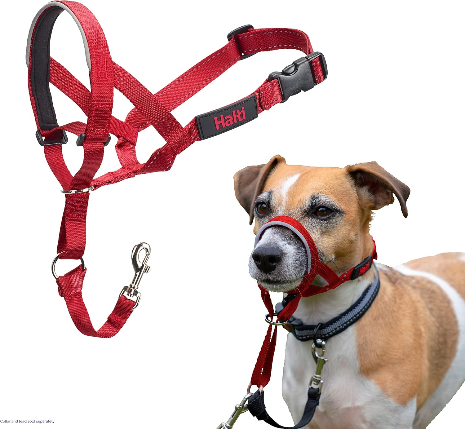 HALTI Headcollar, UK Bestselling Harness to Stop | PetNestUK