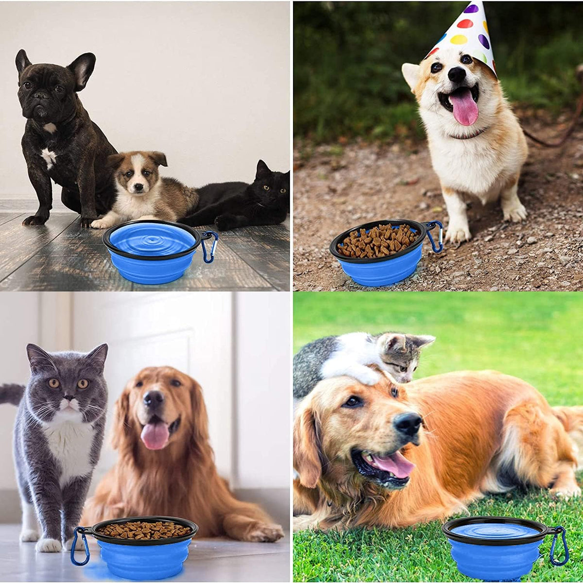 Coolon Collapsible Travel Bowls for Pets