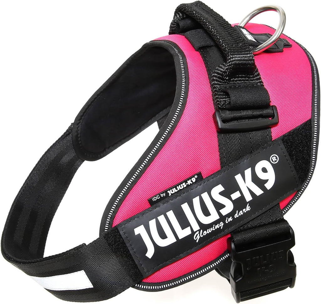Julius-K9 IDC Powerharness for Small Dogs
