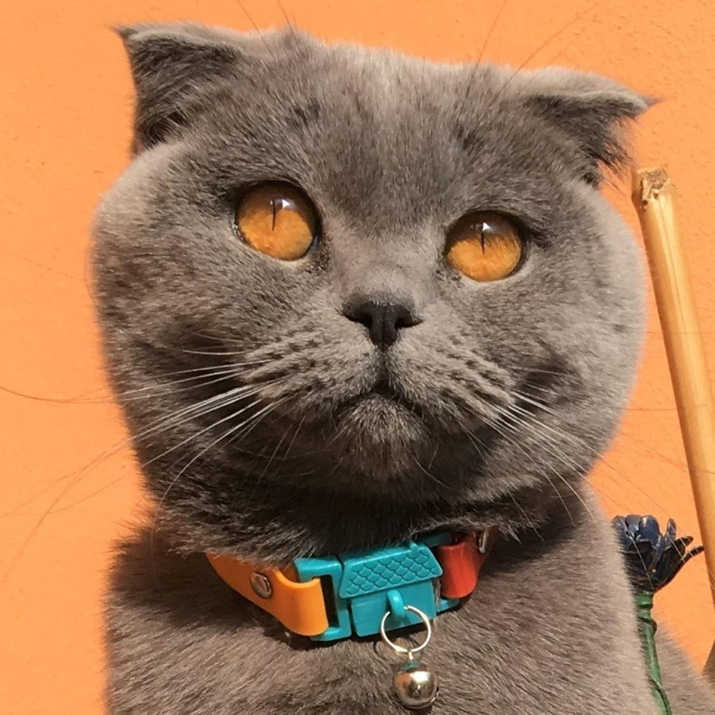 Kittyrama Cat Collar with Bell. As Seen in | PetNestUK