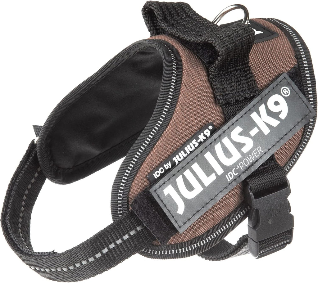 Julius-K9 IDC Powerharness for Small Dogs