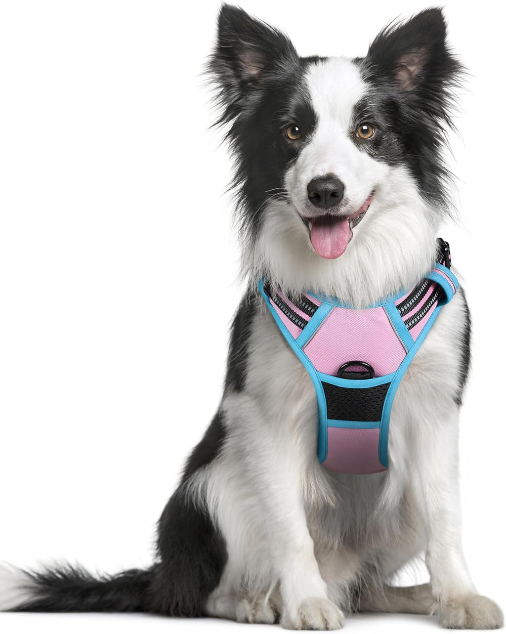 rabbitgoo Dog Harness Dog No Pull Pet Harness | PetNestUK