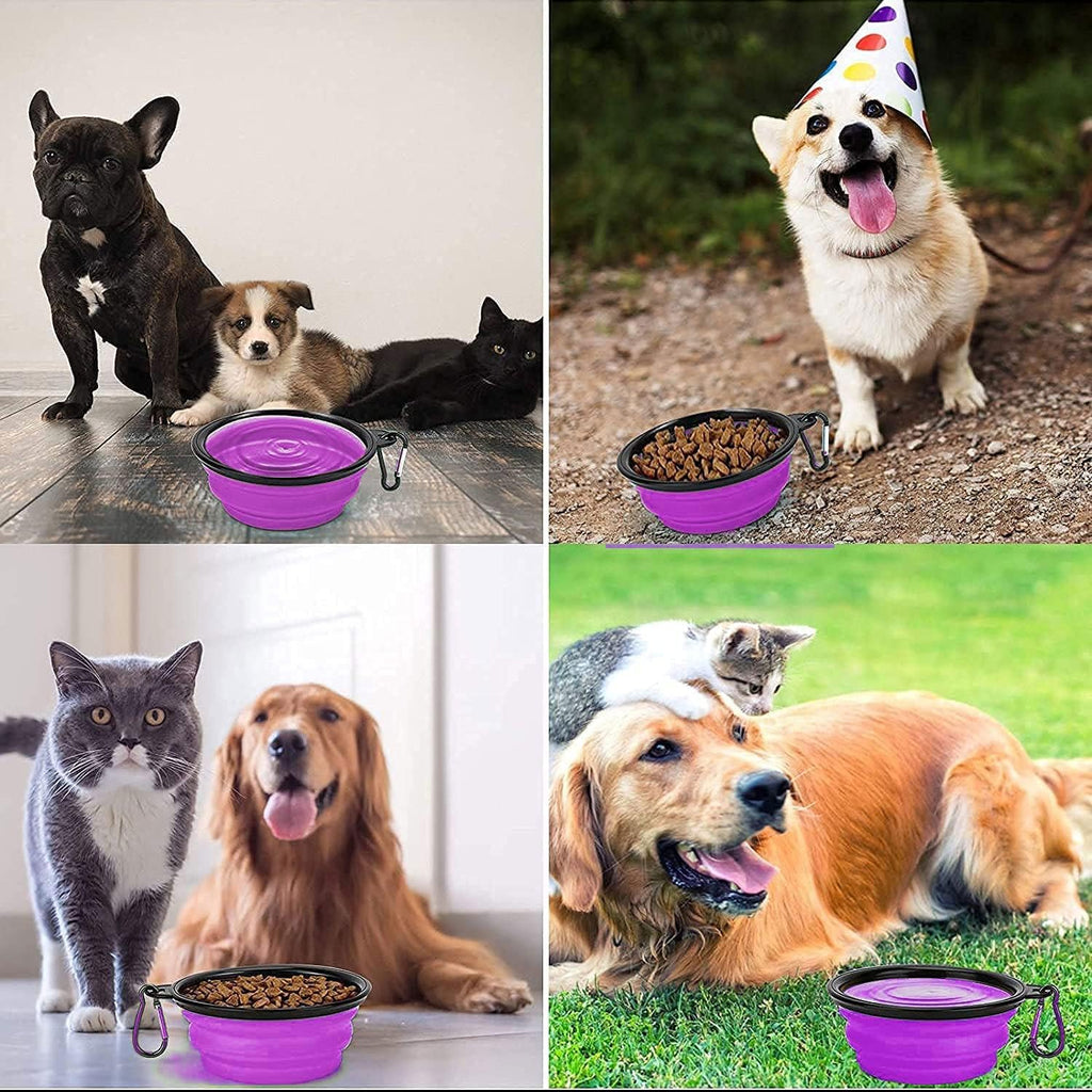 Collapsible Dog Bowl,Collapsible Dog Water Bowls | PetNestUK