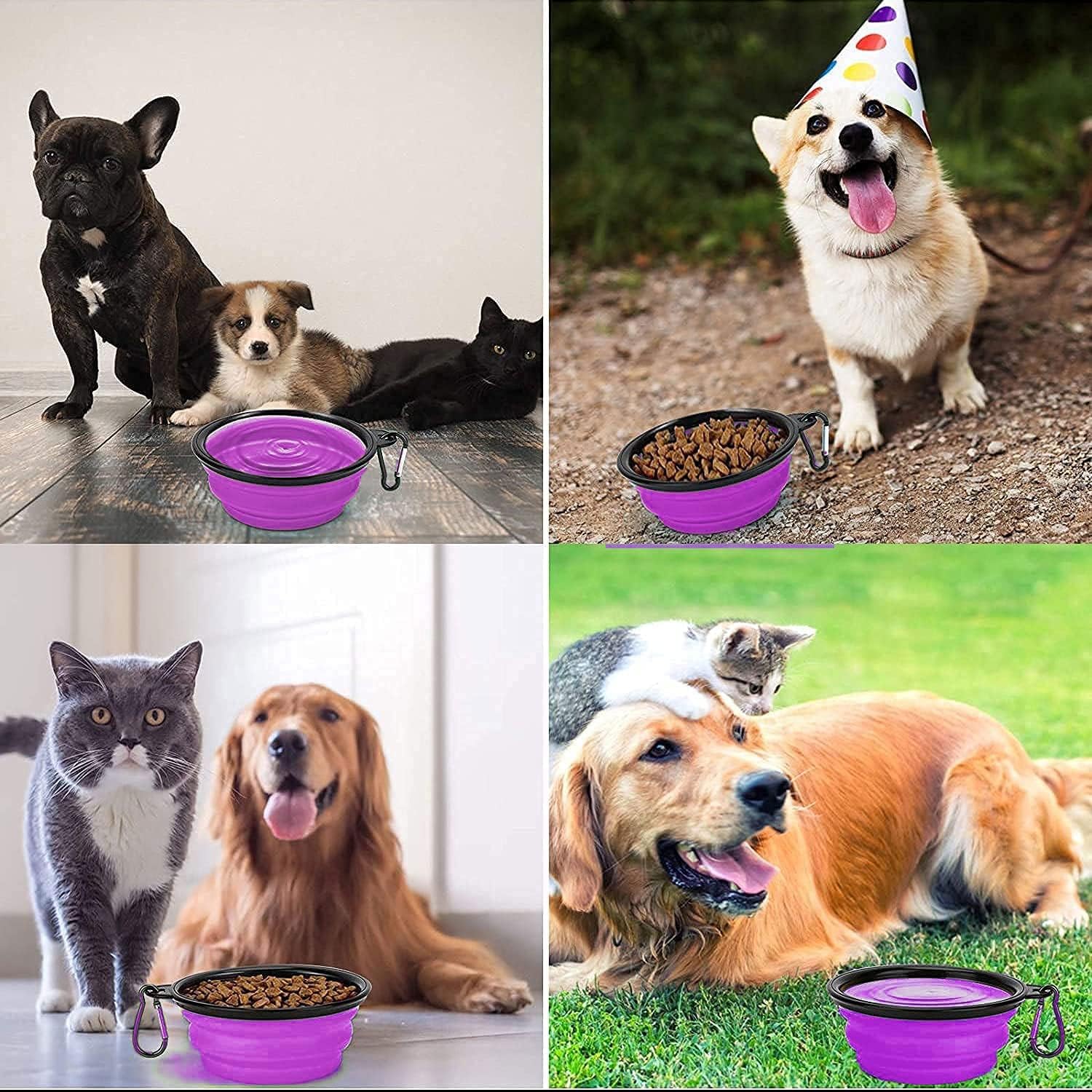 Collapsible Dog Bowl,Collapsible Dog Water Bowls | PetNestUK
