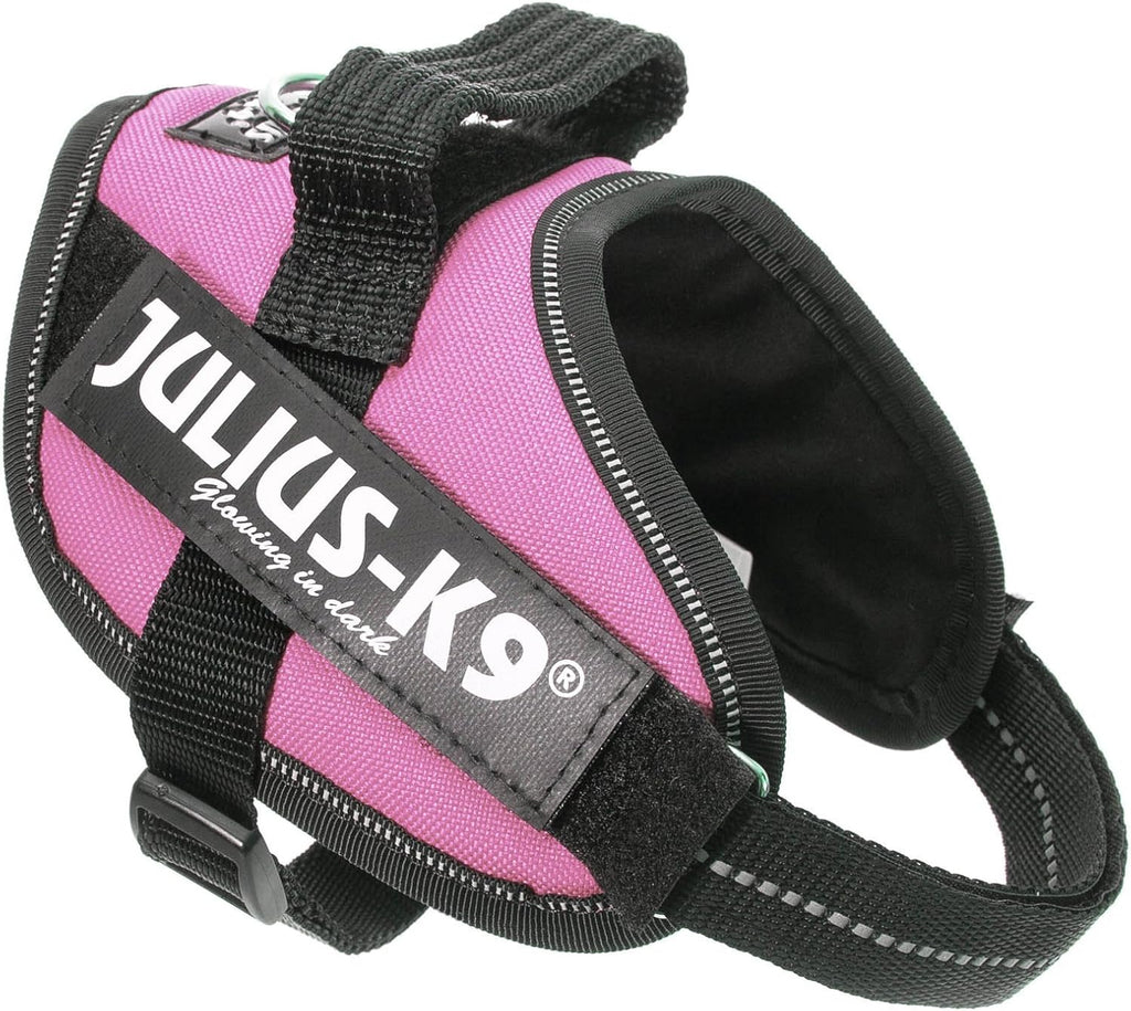 Julius-K9, 16IDC-P-0, IDC Powerharness, dog | PetNestUK