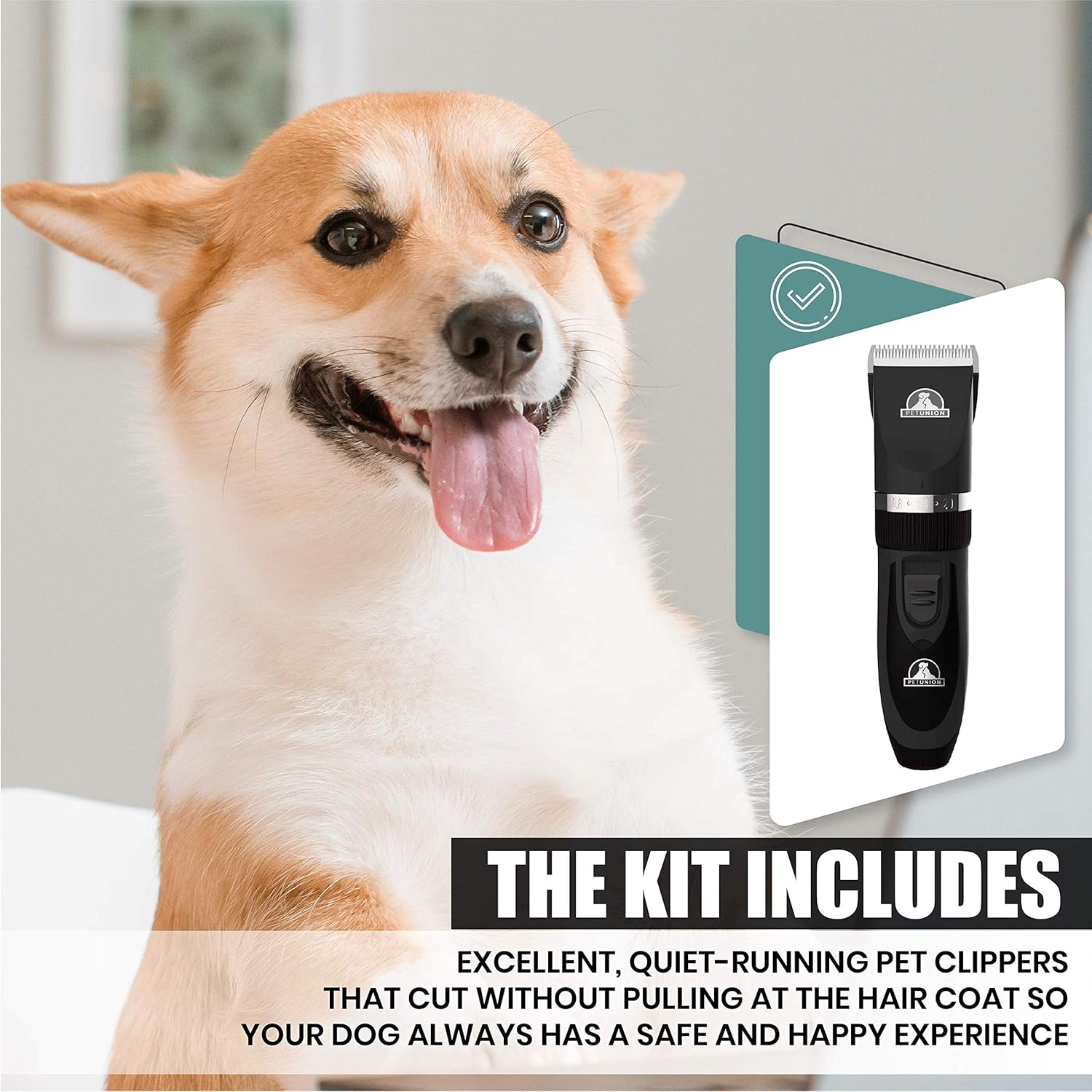 Pet UnionProfessional Dog Grooming Kit | PetNestUK