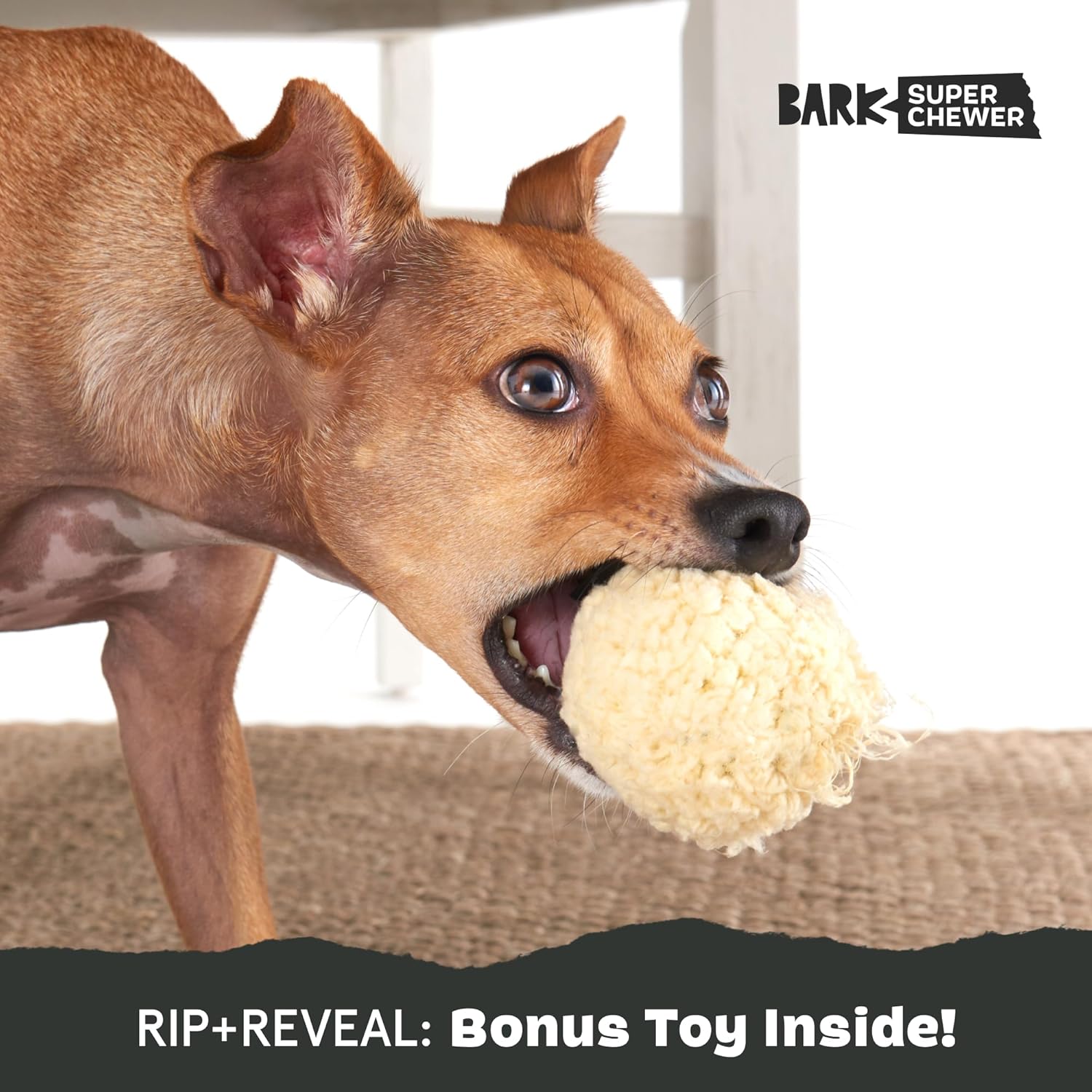 Barkbox Squeaky Dog Toys - Plush and Squeak Chew | PetNestUK