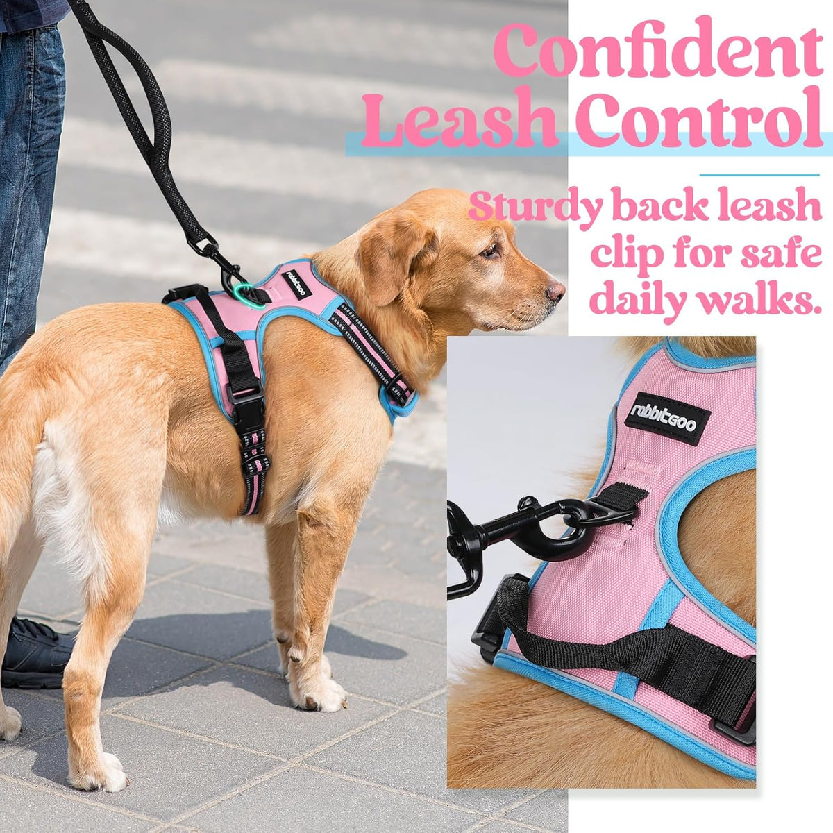 rabbitgoo Padded Dog Harness with Two Lead Clips