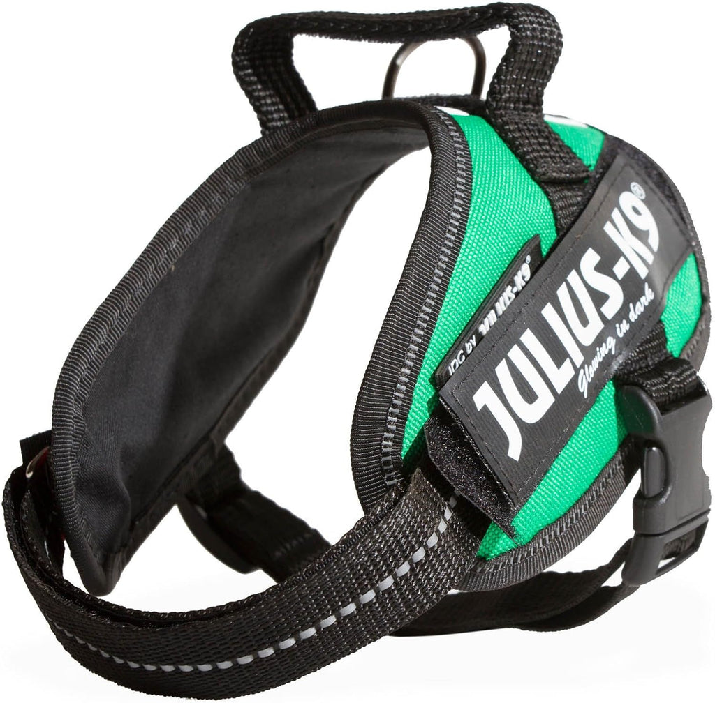 Julius-K9, 16IDC-P-0, IDC Powerharness, dog | PetNestUK