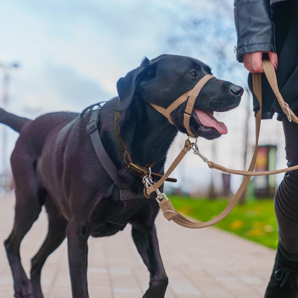 HALTI Headcollar, UK Bestselling Harness to Stop | PetNestUK