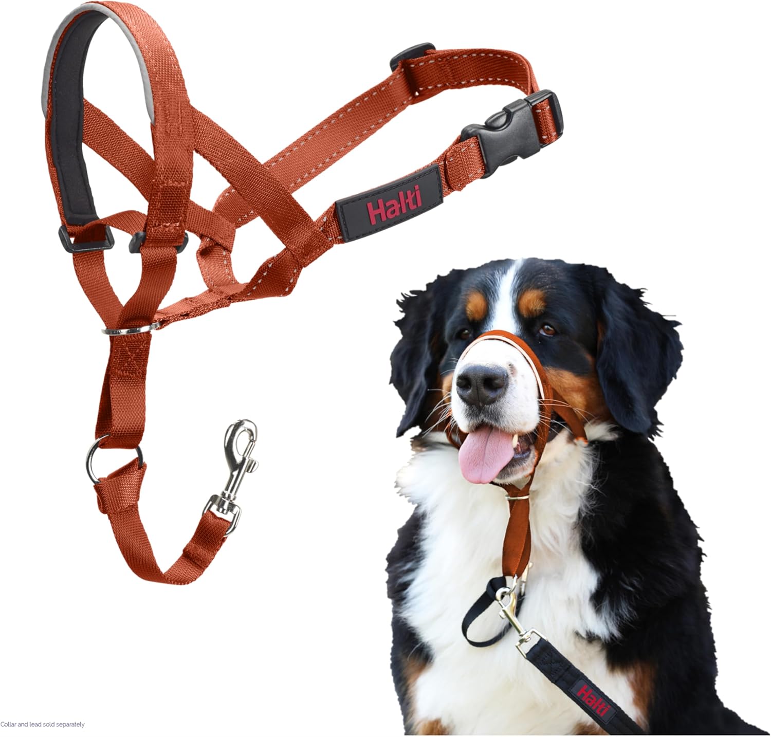 HALTI Headcollar, UK Bestselling Harness to Stop | PetNestUK