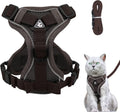 Cat Harness and Lead Set, Adjustable Kitten | PetNestUK