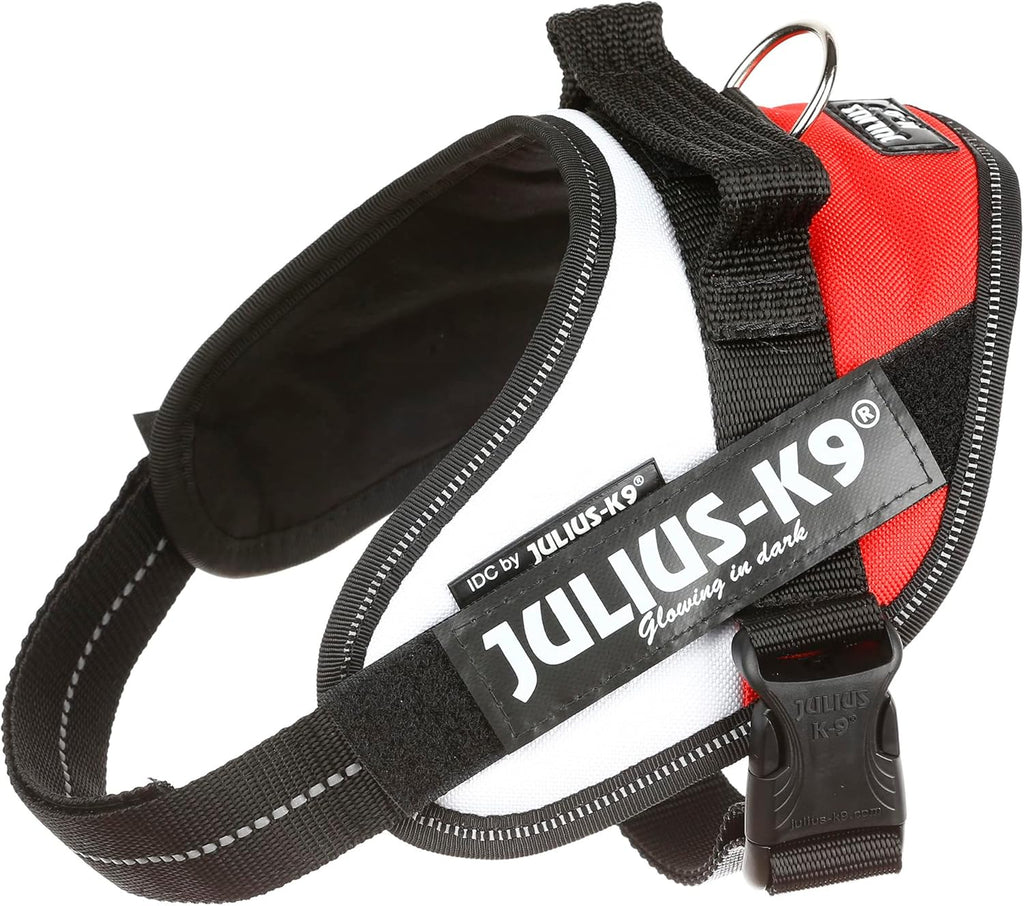 Julius-K9 IDC Powerharness for Small Dogs