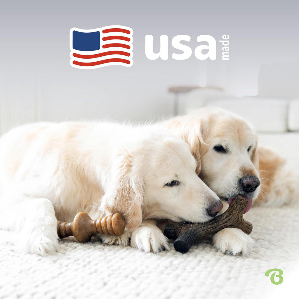 Benebone Durable Dog Chew Toy Box for Aggressive | PetNestUK