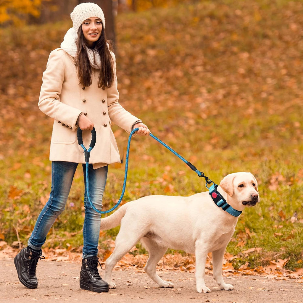 haapaw Reflective Dog Collar Padded with Soft | PetNestUK