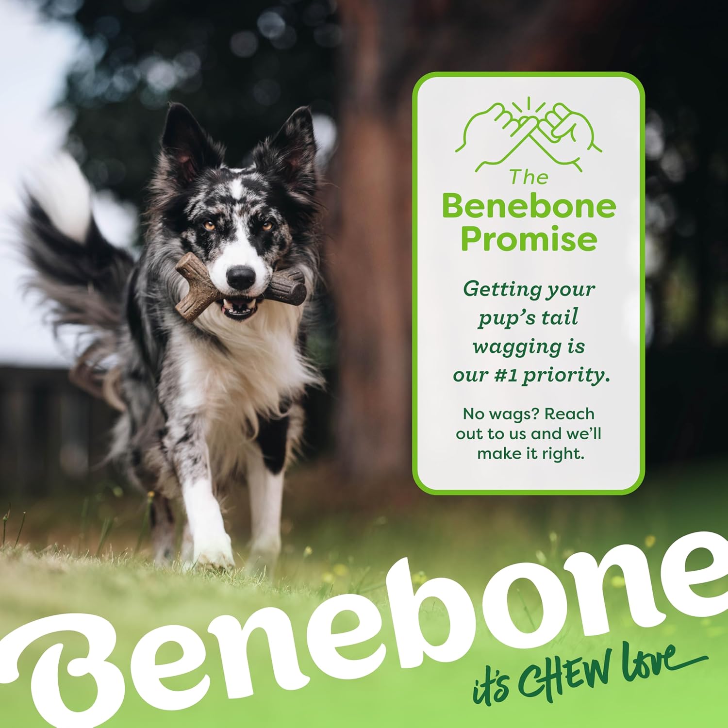 Benebone Durable Dog Chew Toy Box for Aggressive | PetNestUK