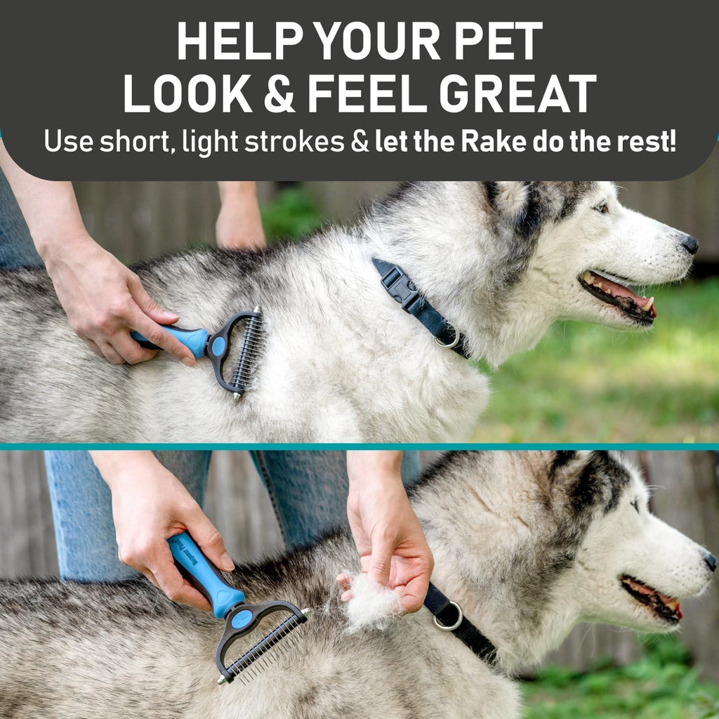 Maxpower Planet Dog Brush | PetNestUK