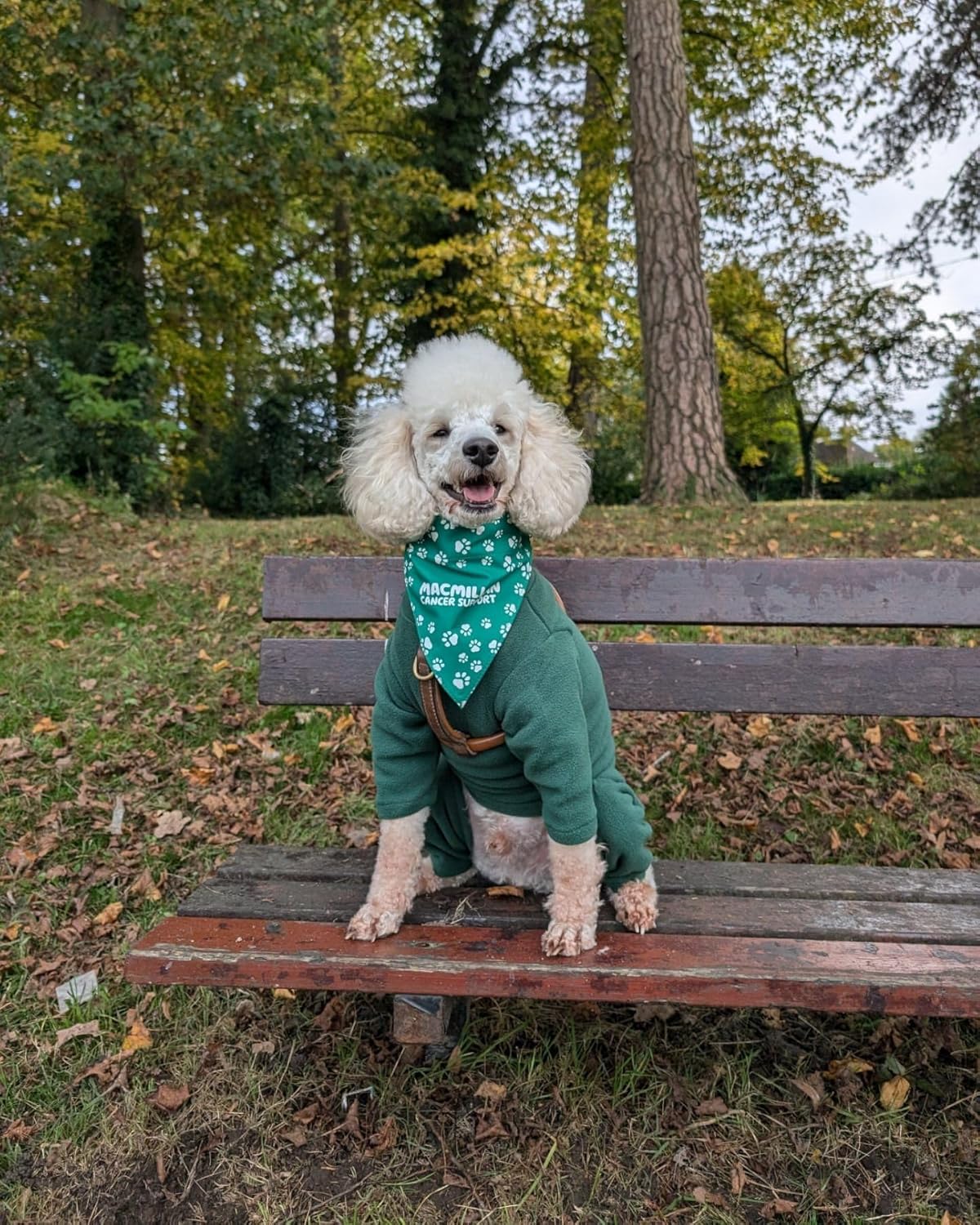 Warm Four-Legged Dog Fleece | PetNestUK