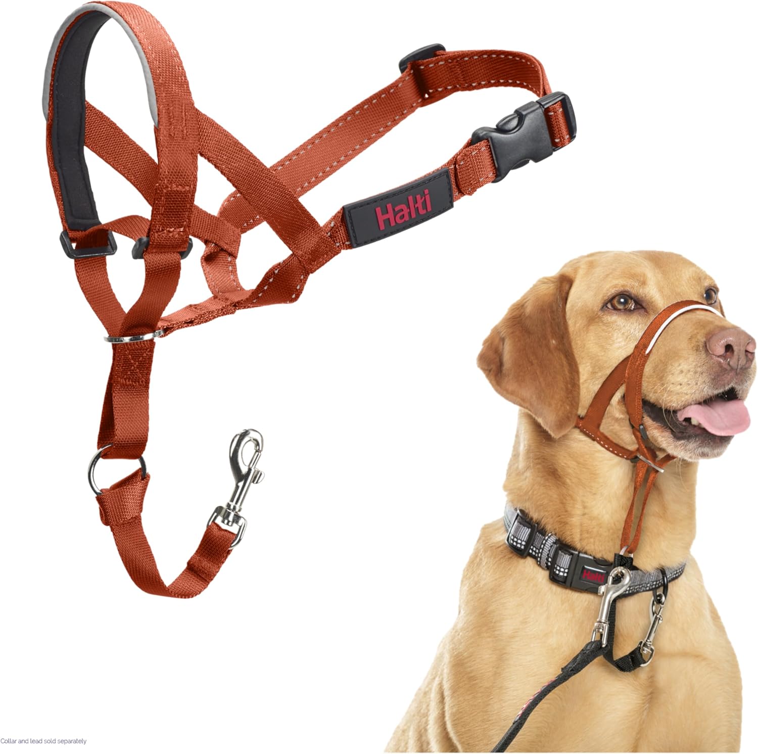 HALTI Headcollar, UK Bestselling Harness to Stop | PetNestUK