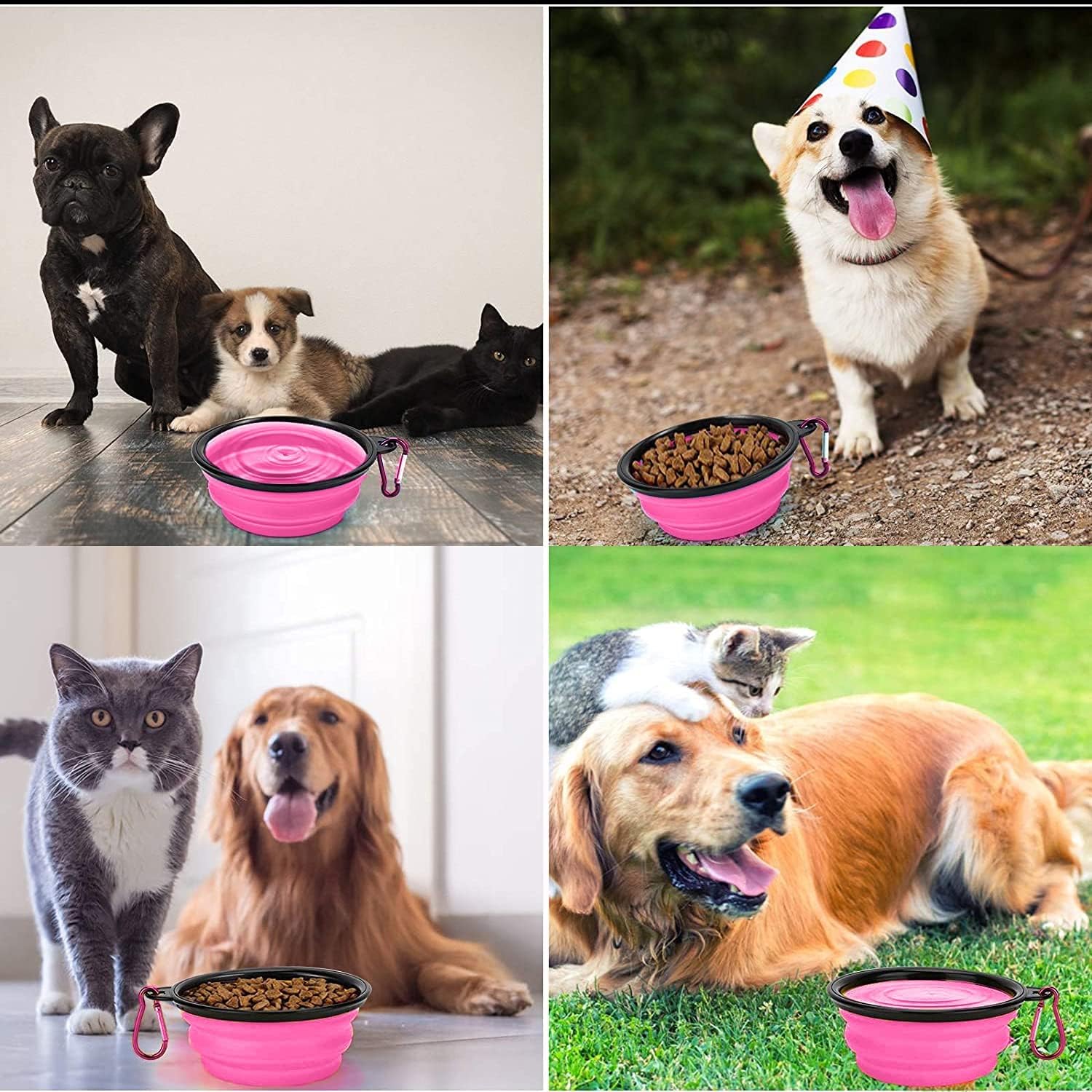 Collapsible Dog Bowl,Collapsible Dog Water Bowls | PetNestUK