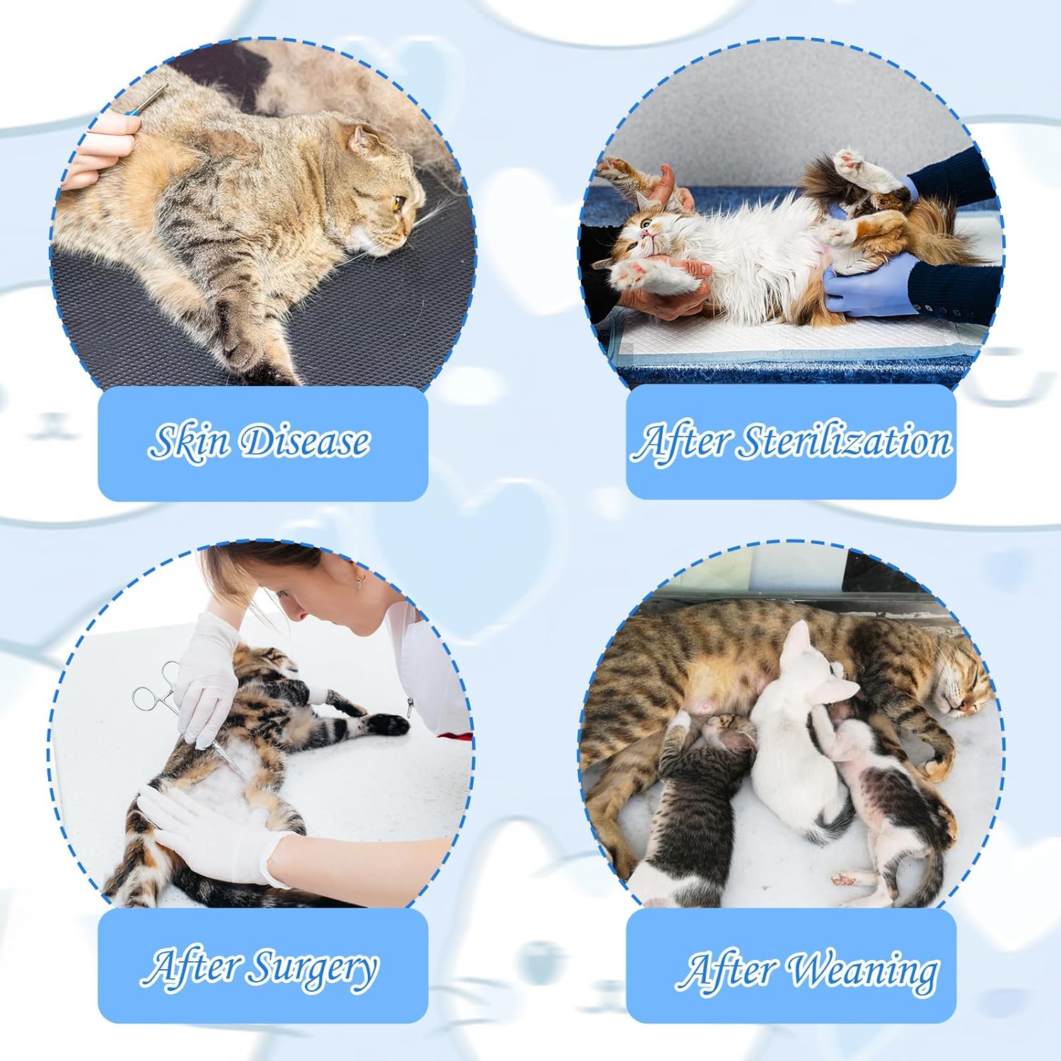 2PCS Cat Professional Recovery Suit, | PetNestUK