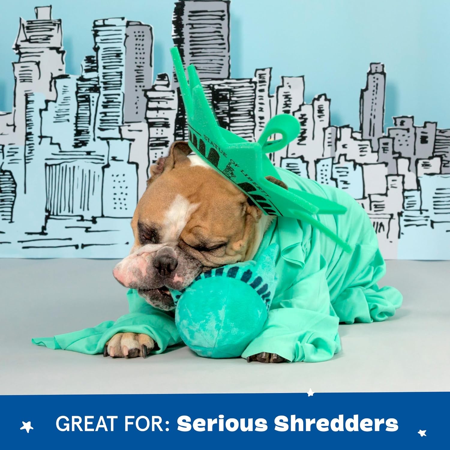 Barkbox Squeaky Dog Toys - Plush and Squeak Chew | PetNestUK