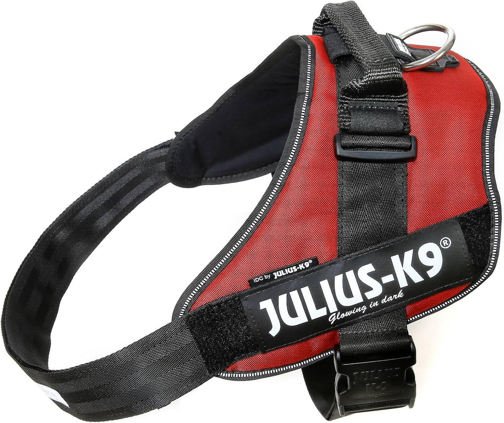 Julius-K9 IDC Powerharness for Small Dogs