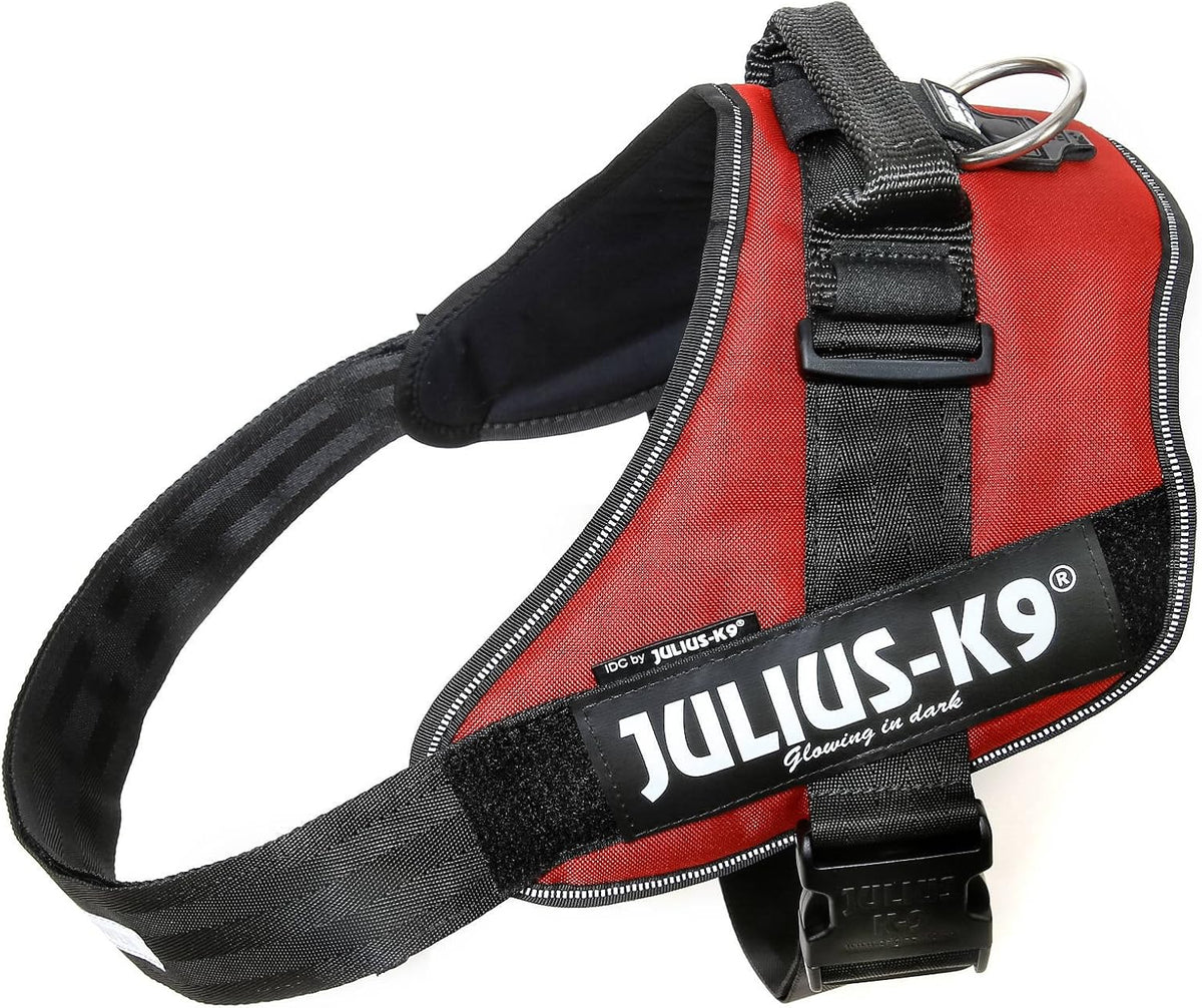 Julius-K9 IDC Powerharness for Small Dogs