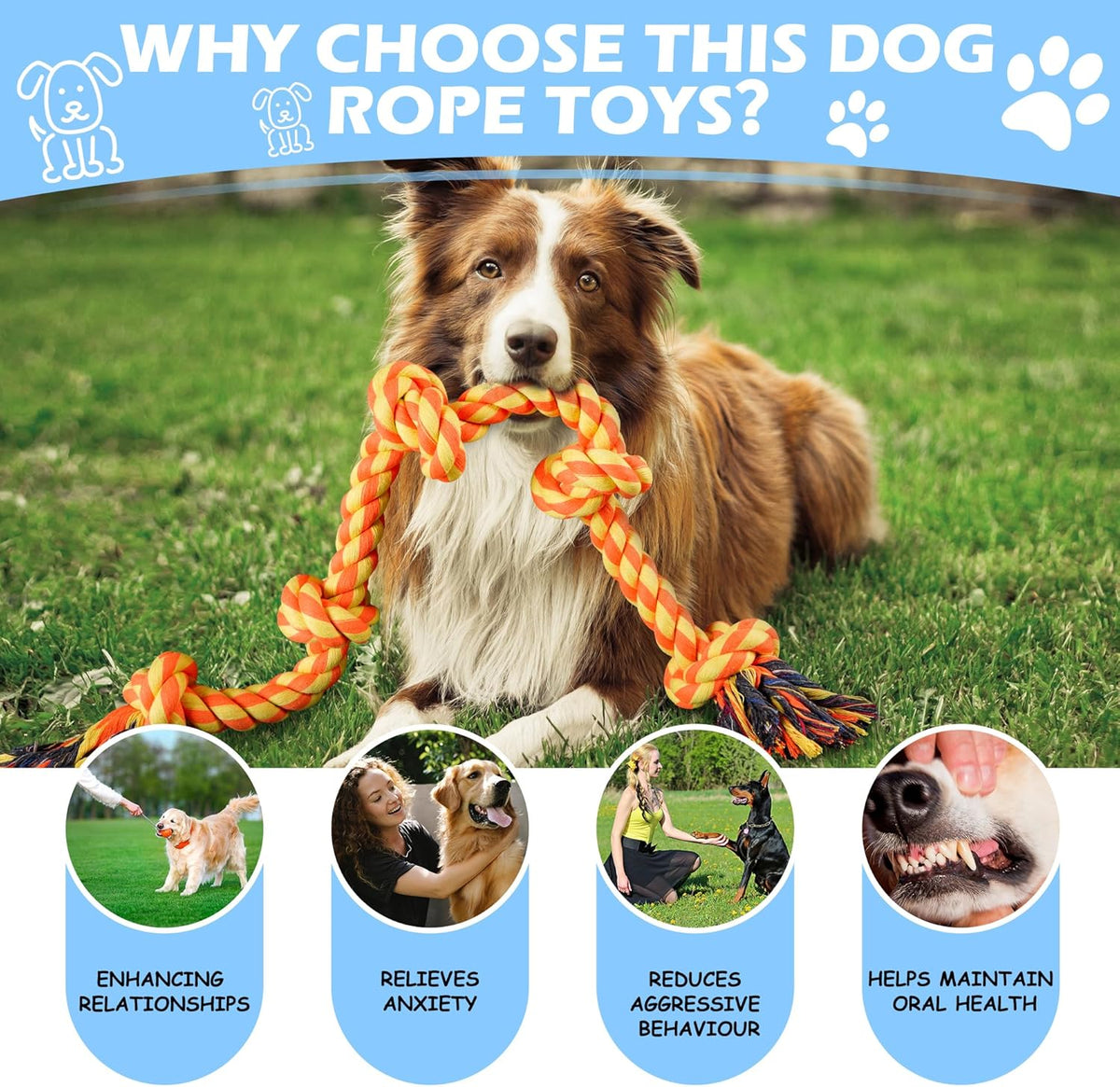Aitmexcn Dog Rope Toys and Play Sets