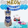 JOTFA Cat Birthday Accessory Set