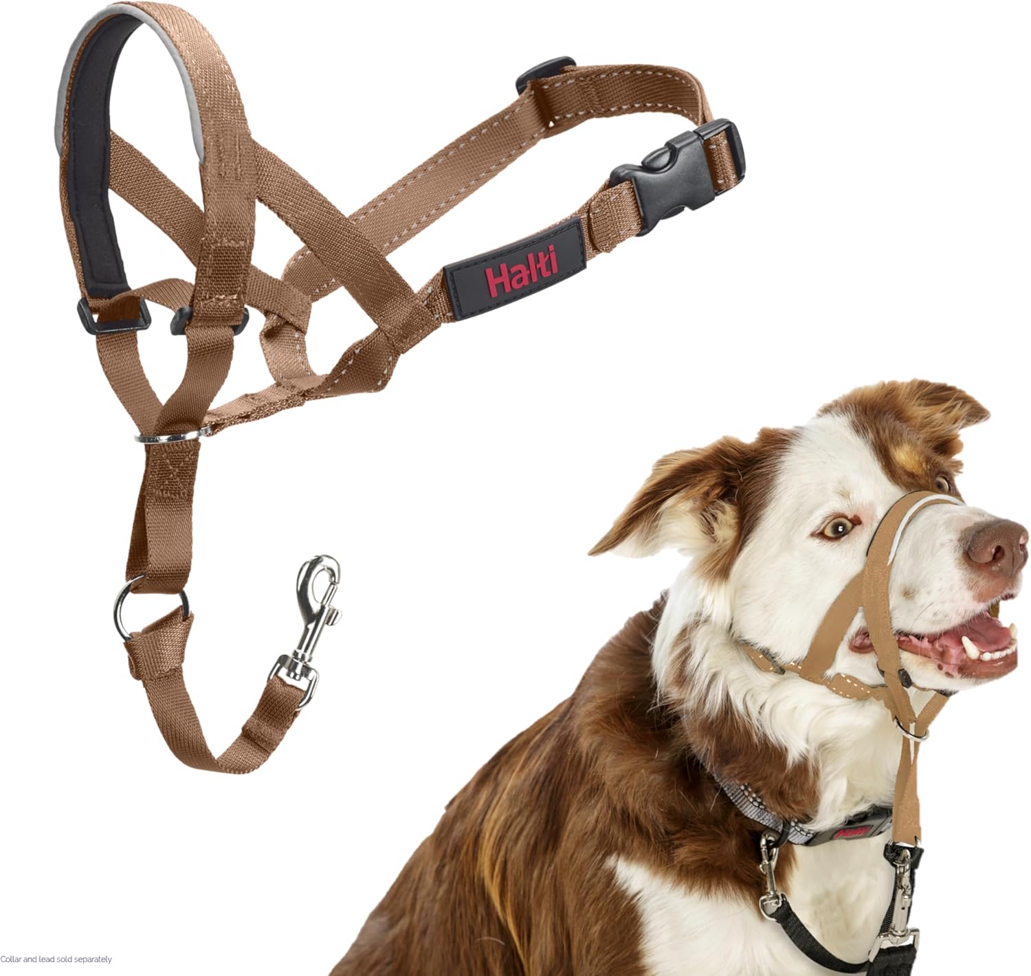 HALTI Headcollar, UK Bestselling Harness to Stop | PetNestUK