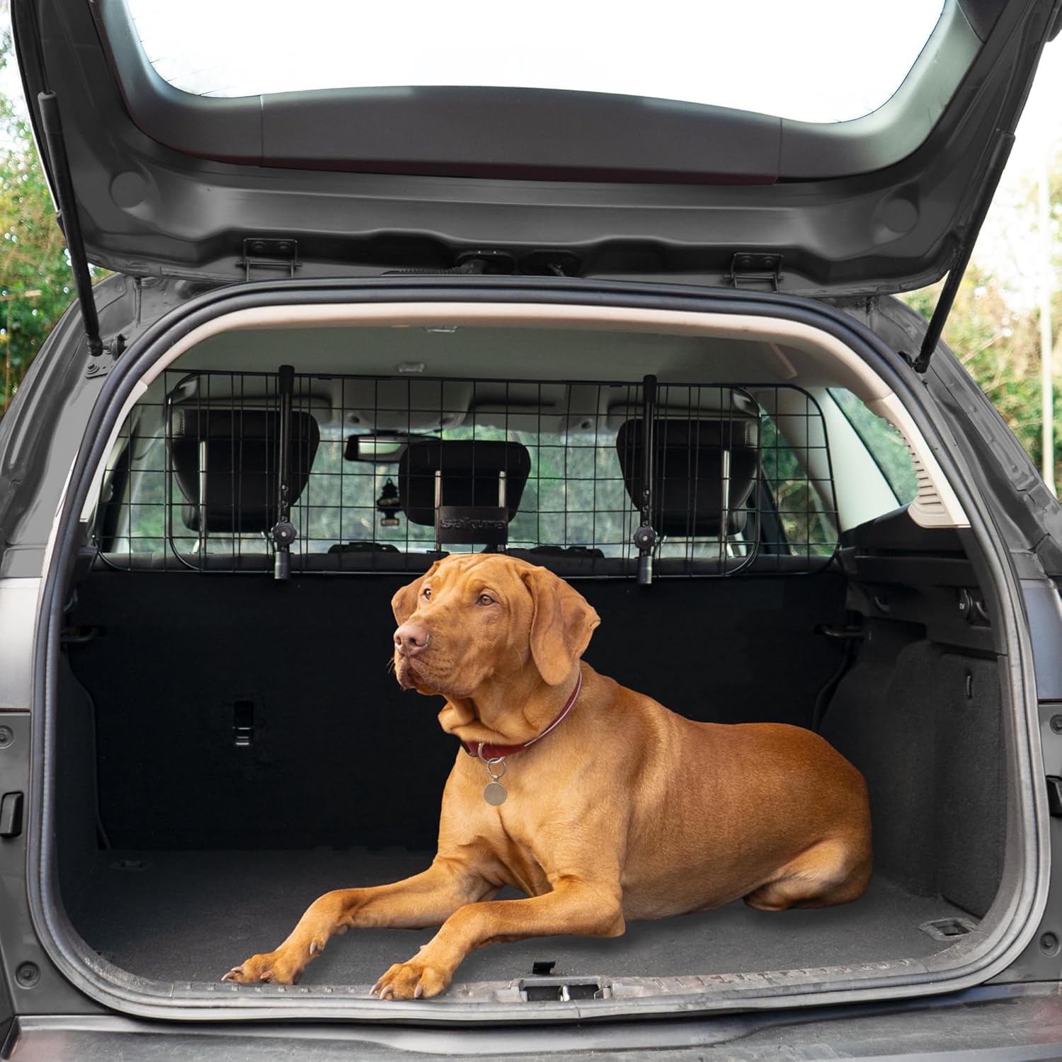 Sakura Headrest Dog Guard For Cars SS5259 | PetNestUK