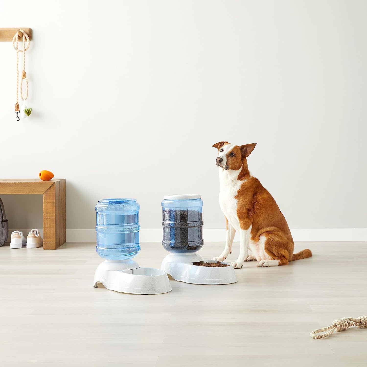Basics Hard-Sided Cat Carrier, Two-Door | PetNestUK