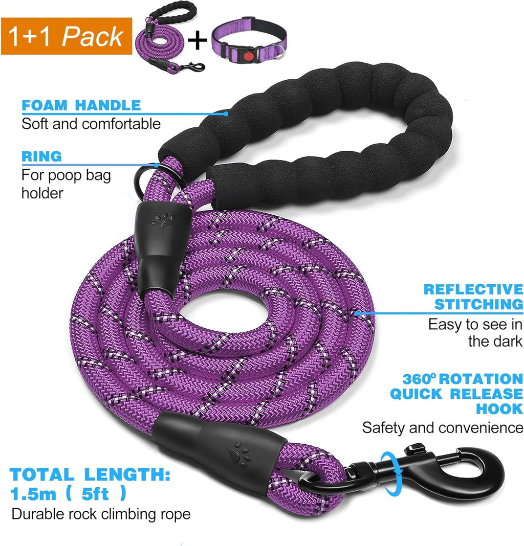 haapaw Reflective Dog Collar Padded with Soft | PetNestUK