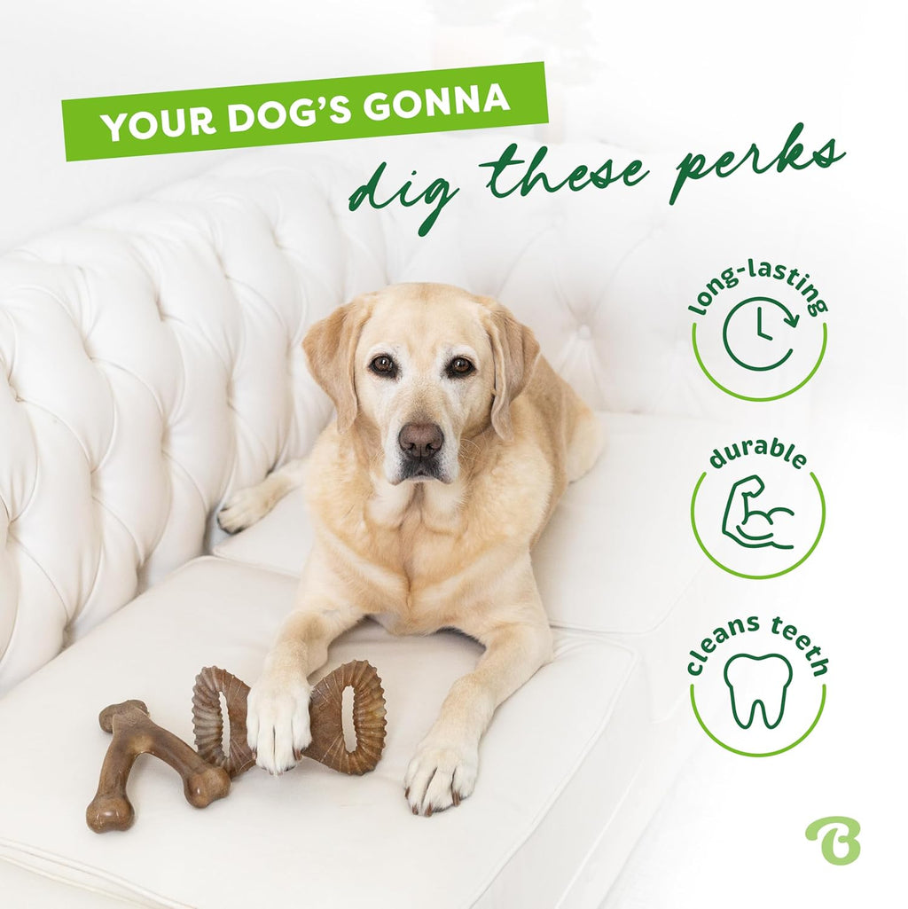 Benebone Durable Dog Chew Toy Box for Aggressive | PetNestUK