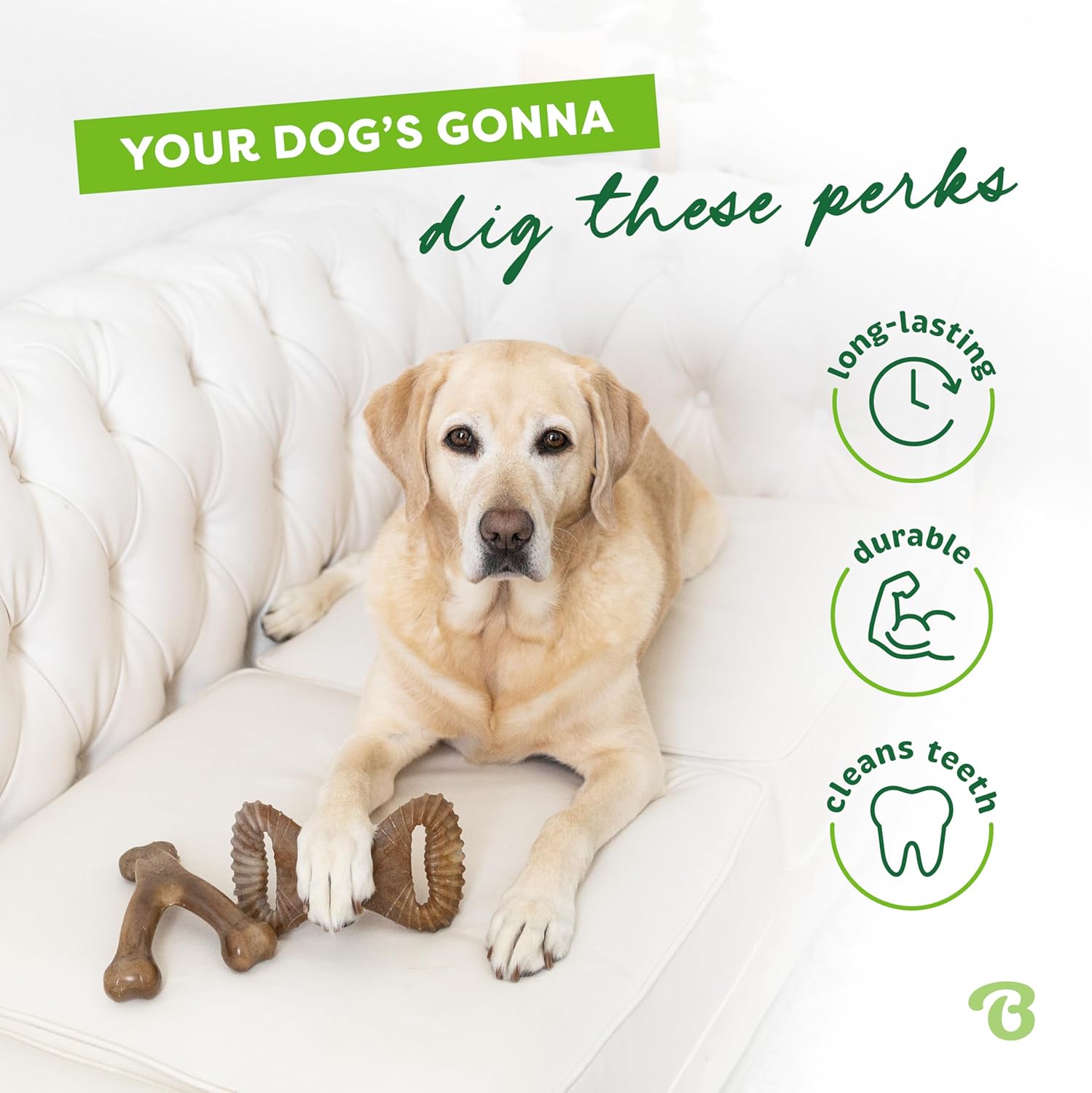 Benebone Durable Dog Chew Toy Box for Aggressive | PetNestUK