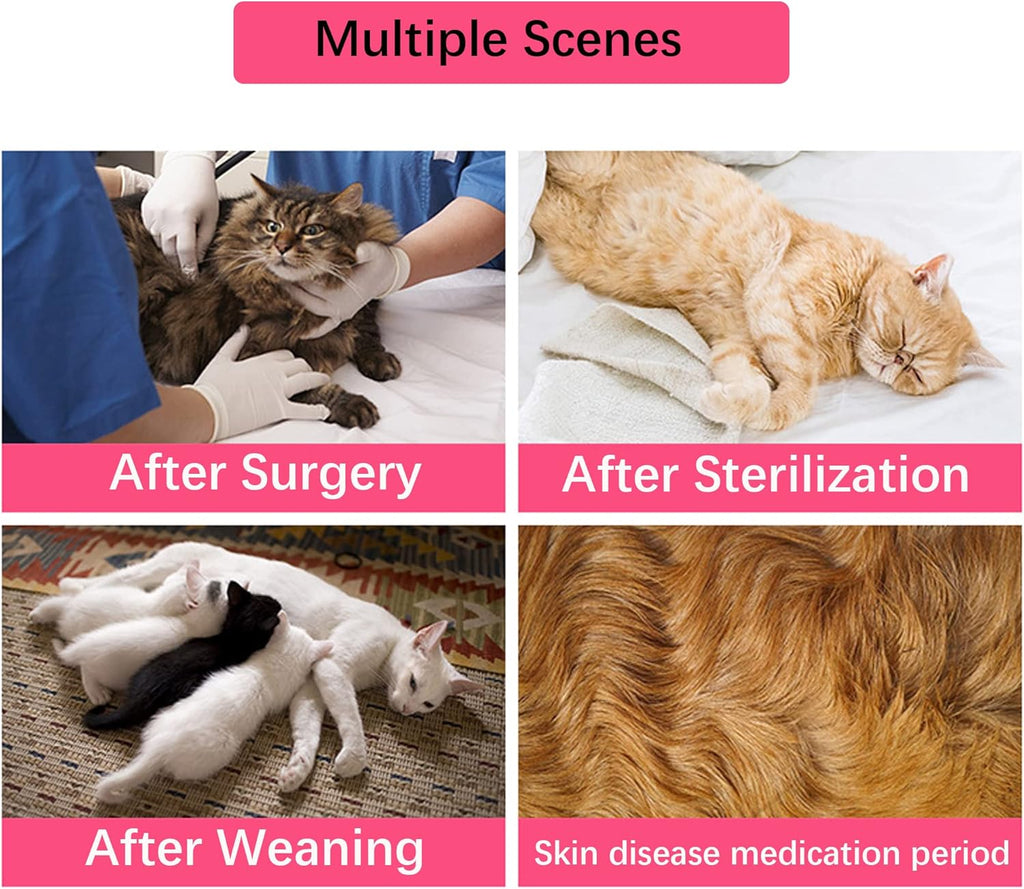 WDEC M 2-4kg Cat Professional Recovery Suit for | PetNestUK