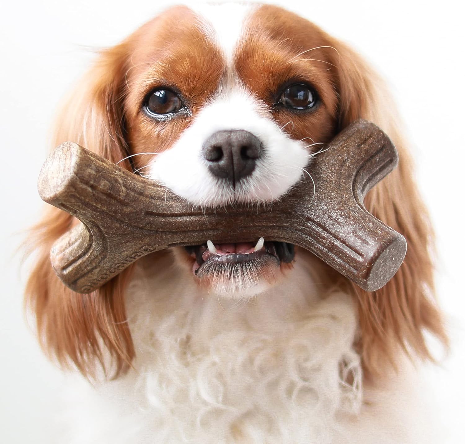 Benebone Durable Dog Chew Toy Box for Aggressive | PetNestUK