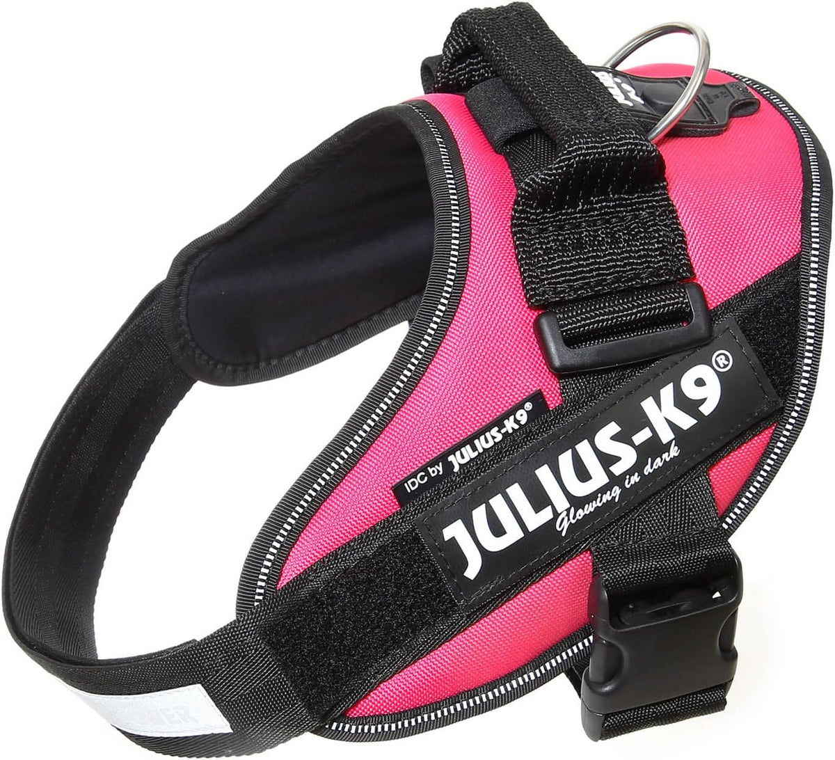 Julius-K9 IDC Powerharness for Small Dogs