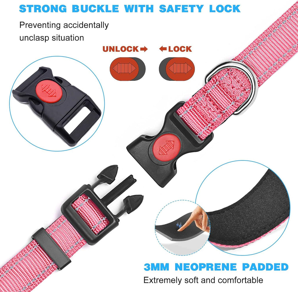 haapaw Reflective Dog Collar Padded with Soft | PetNestUK