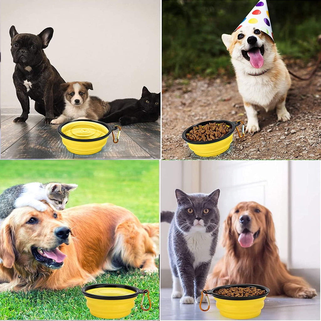 Collapsible Dog Bowl,Collapsible Dog Water Bowls | PetNestUK