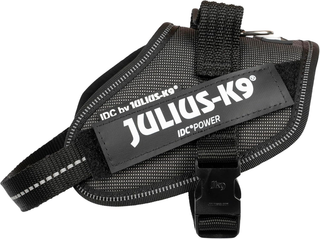 Julius-K9 IDC Powerharness for Small Dogs