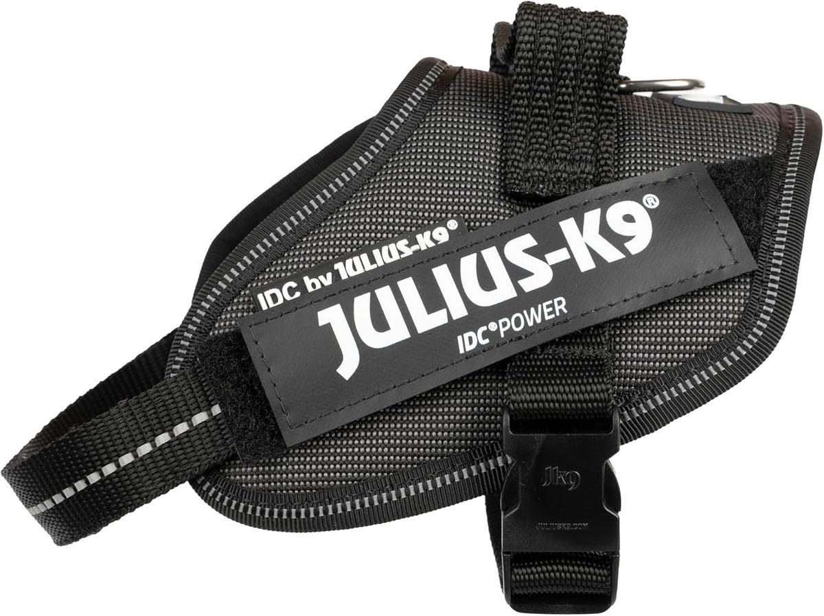 Julius-K9 IDC Powerharness for Small Dogs