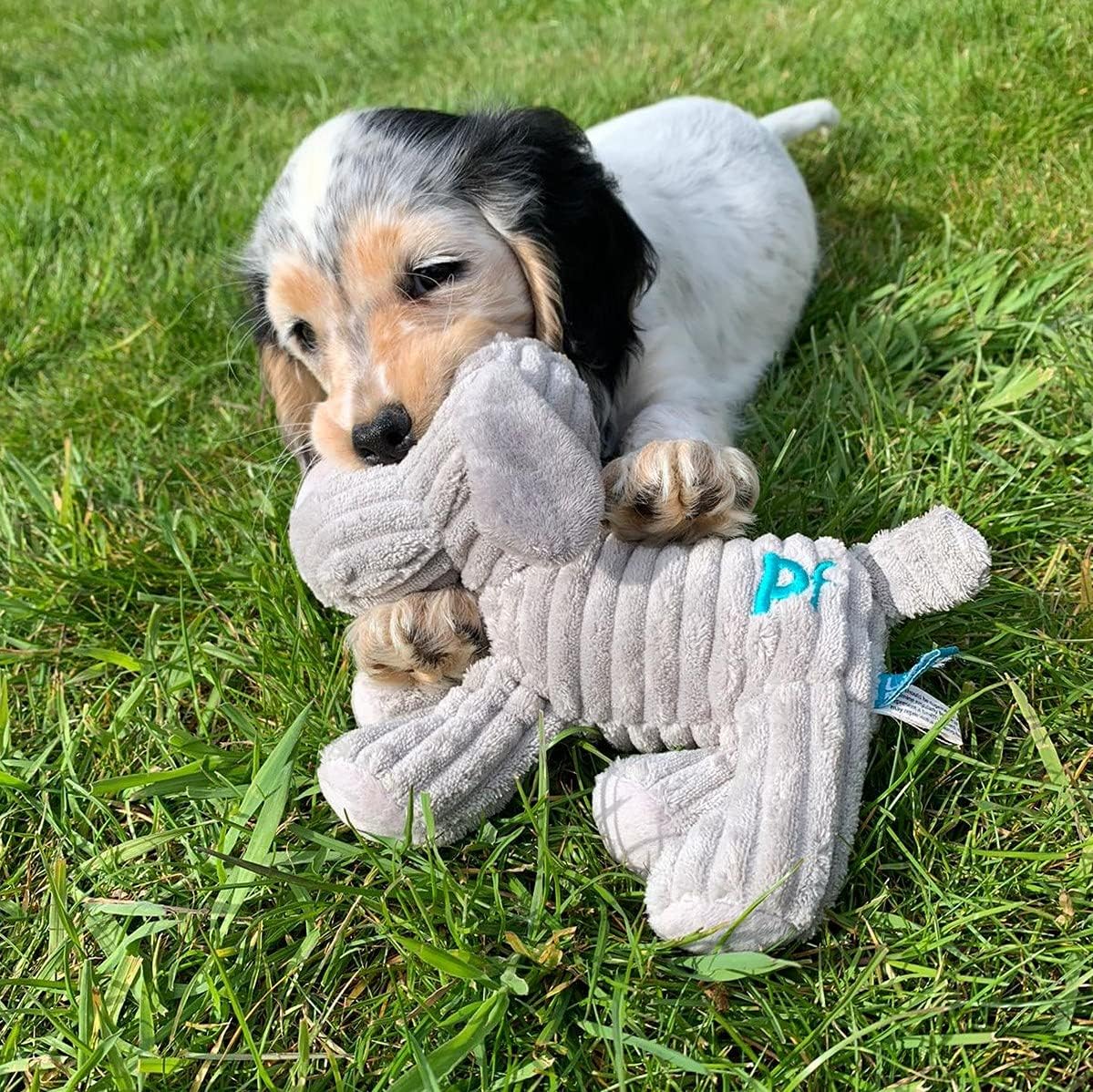 Little Petface Plush Puppy Toys