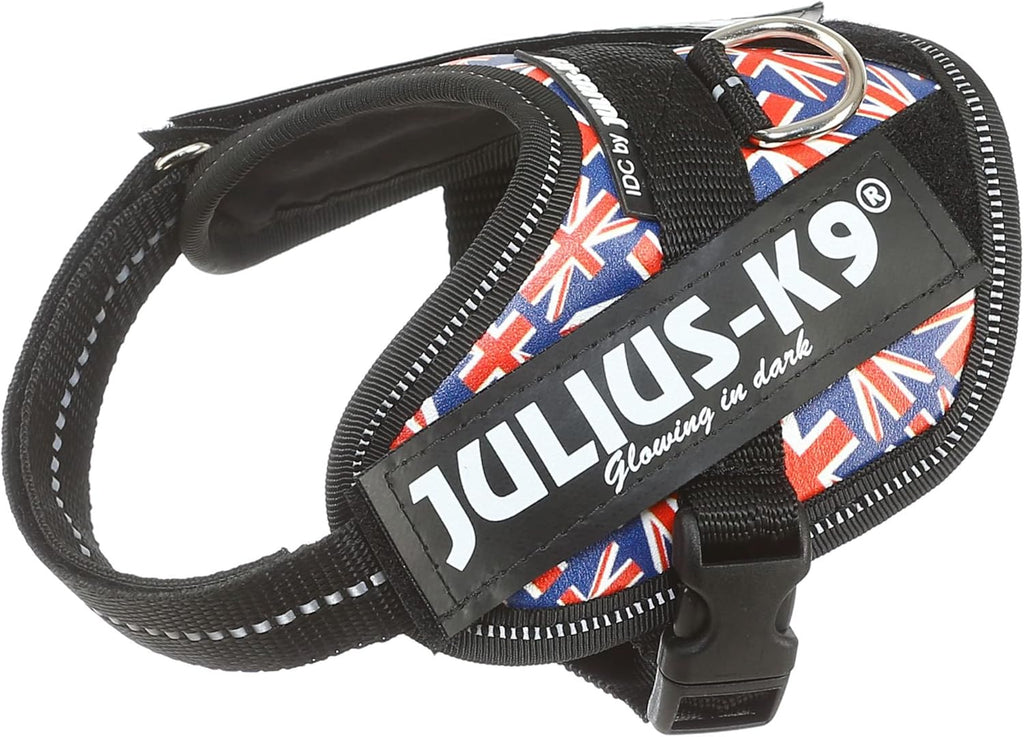 Julius-K9 IDC Powerharness for Small Dogs