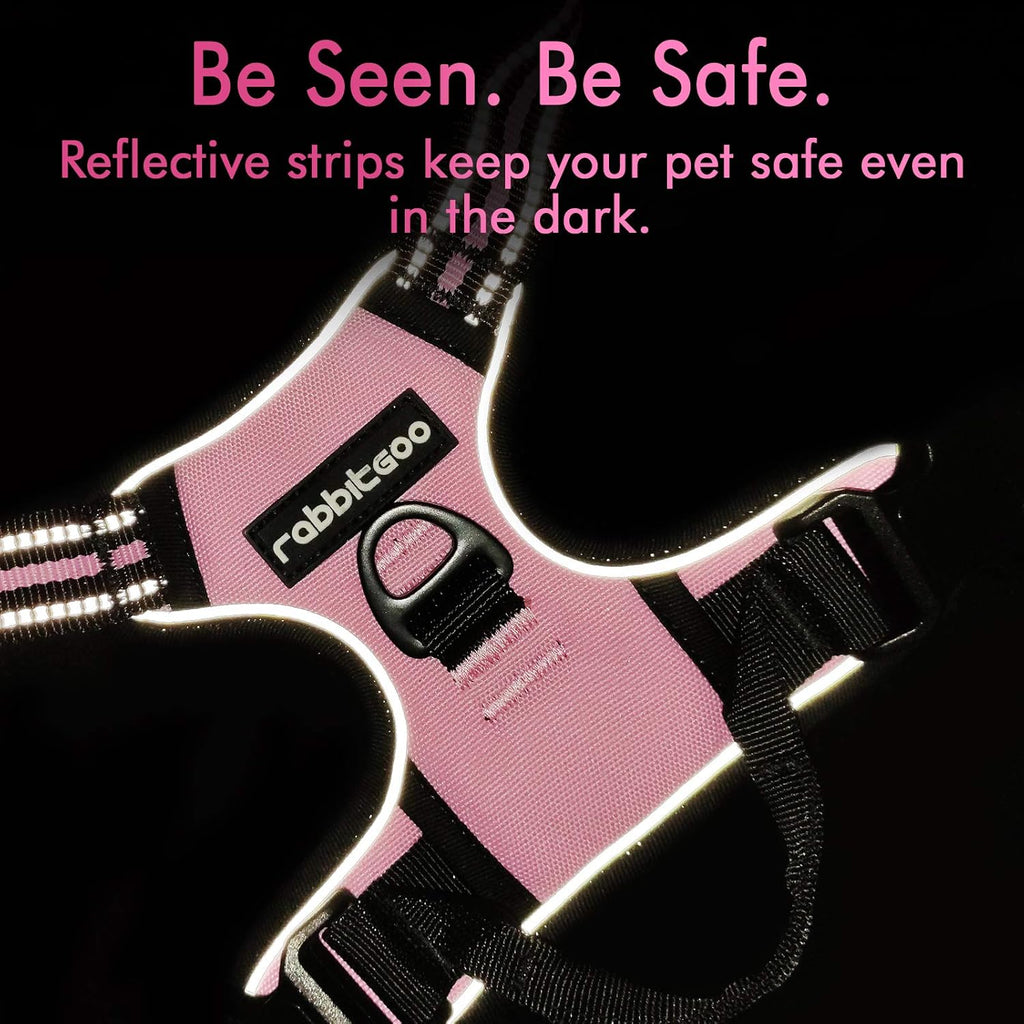 rabbitgoo Padded Dog Harness with Two Lead Clips