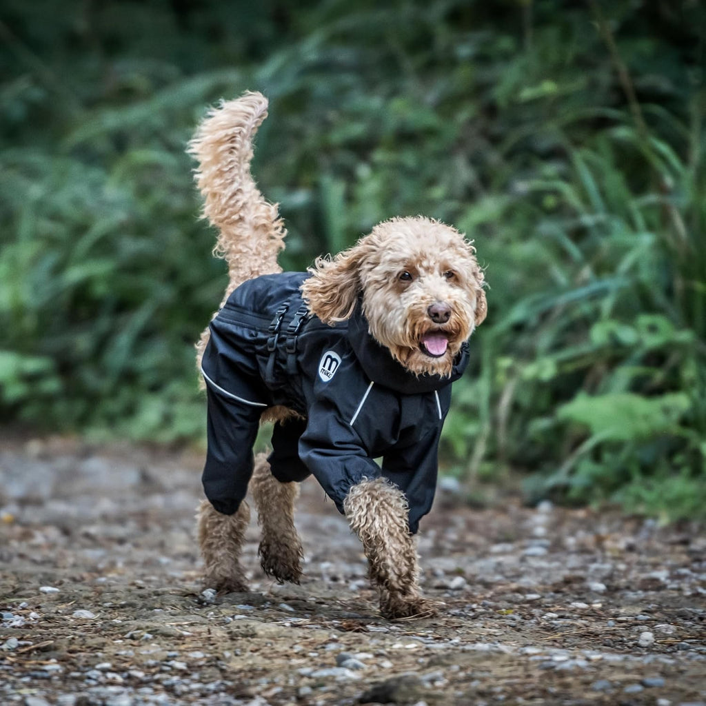 Mikki Doodles Dog Raincoat, Waterproof, | PetNestUK