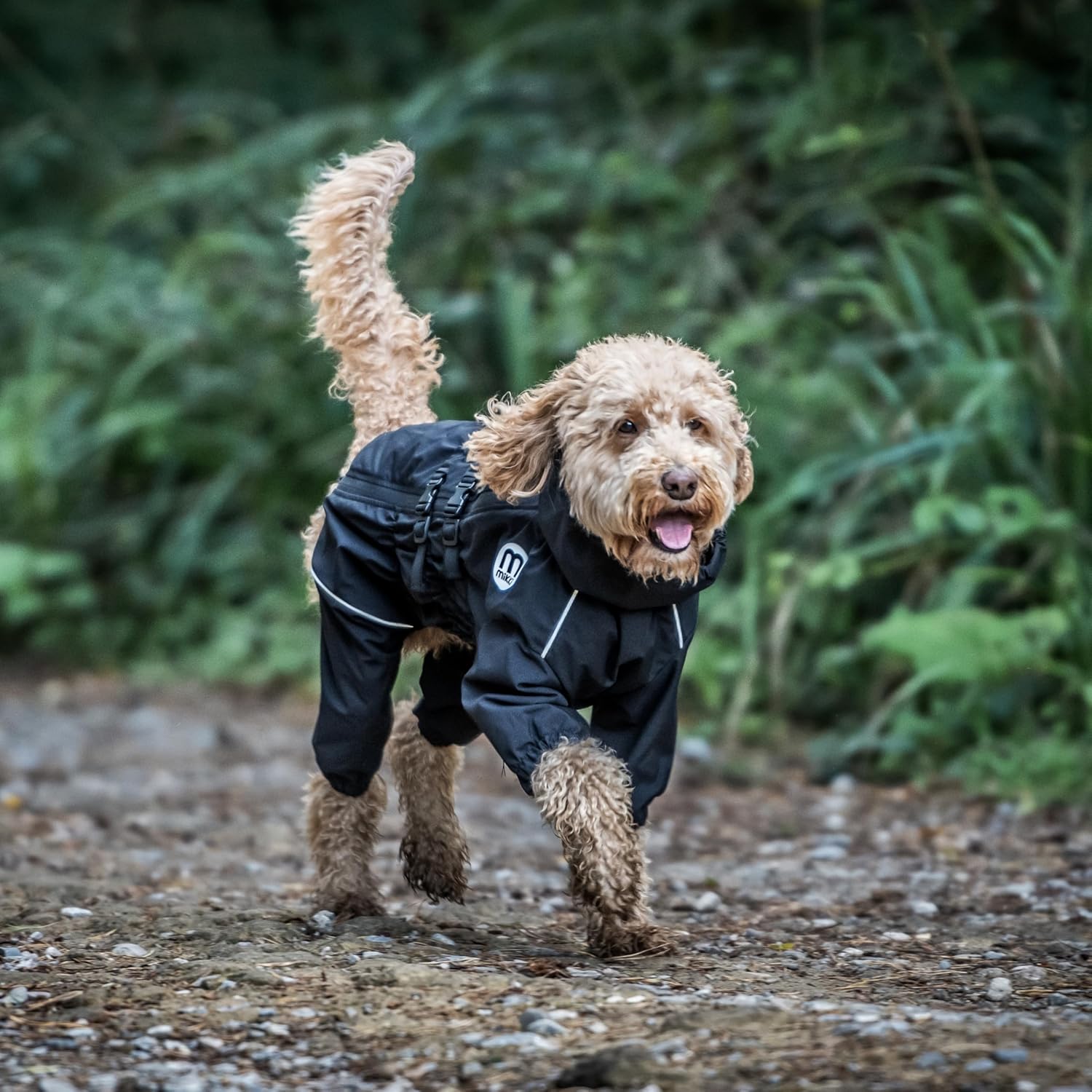Mikki Doodles Dog Raincoat, Waterproof, | PetNestUK