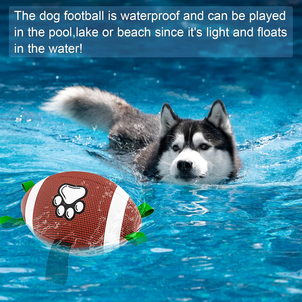 HETOO Interactive Dog Football Toys with Grab | PetNestUK
