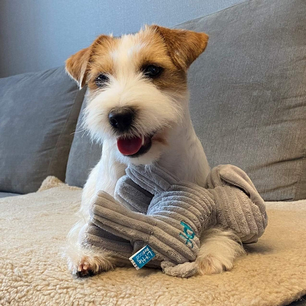 Little Petface Plush Puppy Toys